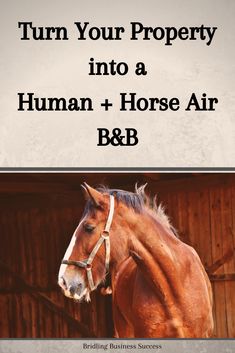 a brown horse standing in front of a wooden fence with the words turn your property into a human + horse air b & b