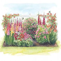 a watercolor painting of colorful flowers and plants in a flower garden with a white fence