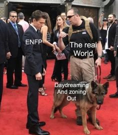 Enfp Celebrities, Isfj And Enfp, Enfp And Infj, Mbti Memes, Intj Intp