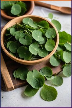 some green leaves are in a wooden bowl