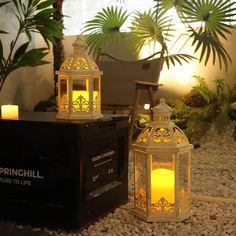 two lit candles sitting on top of a box next to a plant and potted palm tree