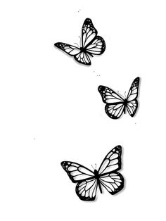 three butterflies flying in the air on a white background, one is drawn with black ink