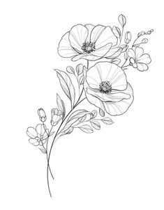 Violet Line Art Tattoo, Poppy Anemone Tattoo, Primrose Line Drawing, Primrose Flower Tattoo Design, Cosmo Line Drawing, Cosmos Drawing Flower, Violets Flower Tattoo, Violets Tattoo Design, Anemone Tattoo Design