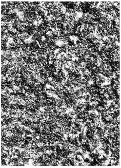 black and white photograph of an abstract surface