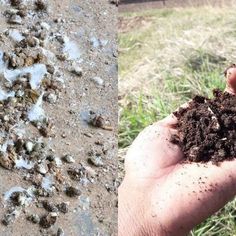 a person holding dirt in their hand next to a pile of dirt on the ground