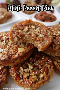 Mini Pecan Pie Recipes, Christmas Dessert Menu, Slow Cooker Roast Beef, Mini Pecan Pies, Pecan Pies, Pecan Pie Filling, Pecan Bars, Slow Cooker Roast, Blueberry Cream Cheese