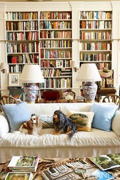 a living room filled with lots of books and furniture