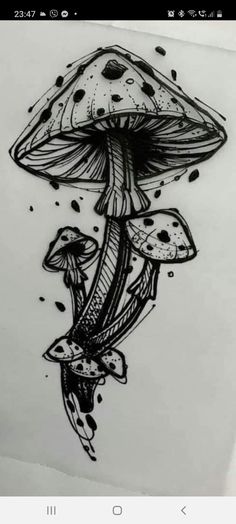 a drawing of a mushroom on paper with ink splatters and dots around it