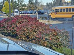 a yellow school bus driving down a street next to a parking lot filled with cars