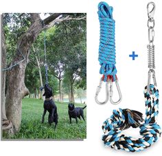 two dogs are tied up and ready to play in the park with each other,