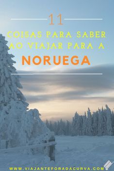 snow covered pine trees in the background with text overlay that reads 11 cosas para saber ao viar para a noruega