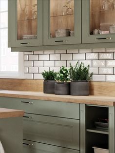 a kitchen with green cabinets and plants in pots on the counter top next to it