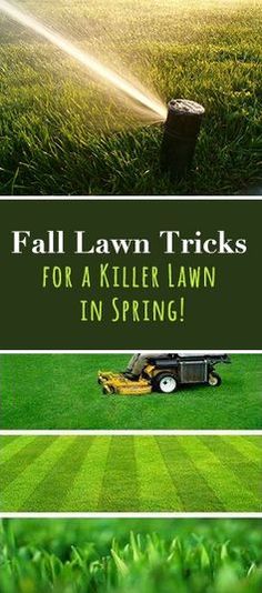 the cover of fall lawn tricks for a killer lawn in spring, with an image of a sprinkler