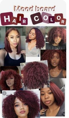 Auburn Curly Hair Natural, Black Natural Hair Dyed, Hair Colour Ideas For Black Curly Hair, Auburn Hair Color On Natural Hair, Hair Dye Idea For Black Hair, Morron Hair Color, Red Hair Ideas Curly Hair, Hair Color Ideas For Black Natural Hair, Redish Burgundy Hair Color