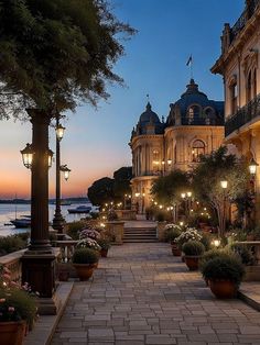 the walkway is lined with potted plants and lit up by street lamps at dusk