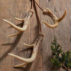 some antlers are laying on a wooden table