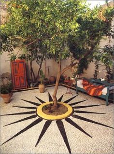 a small tree in the middle of a patio with sunbursts on it