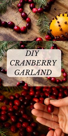 cranberry garland with text overlay that reads diy cranberry garland