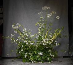 a bunch of white flowers sitting on top of a cement floor next to a wall