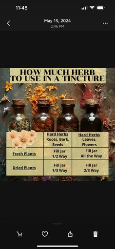 Herbal Education, Medicinal Tea, Magia Das Ervas, Wild Food Foraging, Herbal Tinctures, Magic Herbs, Healing Plants, Herbal Apothecary, Essential Oils Herbs