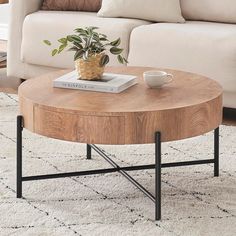 a coffee table with a plant on top in front of a white couch and rug