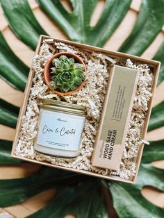 an open box containing a candle and some plants