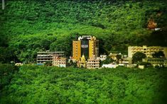 an aerial view of a city surrounded by lush green trees