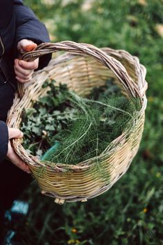 a person holding a wicker basket filled with green plants