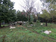 an open field with rocks and trees in the background