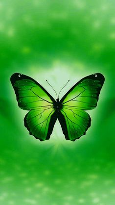 a green butterfly flying through the air