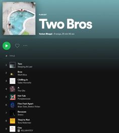 an image of two bros on the webpage for their album, which is being displayed in