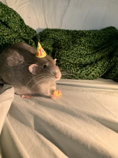 a rat wearing a party hat on top of a bed