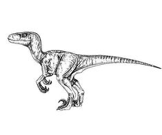 an ink drawing of a dinosaur