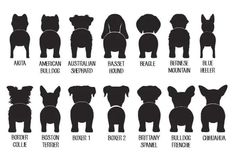 the silhouettes of dogs with their names