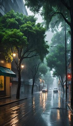 a city street at night with cars driving on it and trees lining the road in the rain