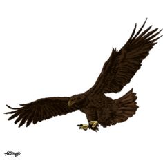 an eagle flying in the sky with its wings spread