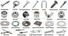 various types of nuts and screws are shown in this image, with the names above them