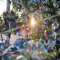 the sun shines through bubbles in front of a tree and parked cars on a city street