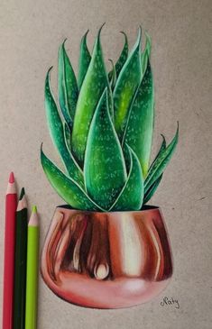 a drawing of a potted plant with green leaves and two colored pencils next to it