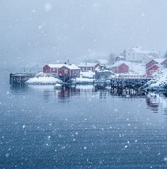 snow is falling on the water and red houses in the background are covered with snow