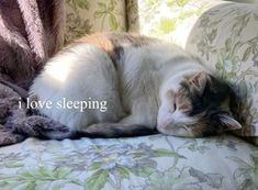 a cat sleeping on top of a couch with the words i love sleeping