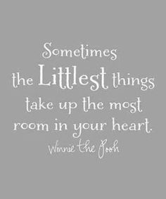 a quote that says sometimes the littlest things take up the most room in your heart