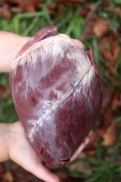 a person holding up a piece of meat in their left hand, with other food on it