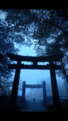 a gate in the middle of a forest on a foggy day