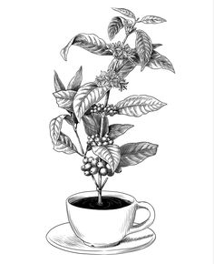 a drawing of a cup with coffee beans and leaves in it on a saucer