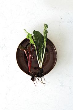 two radishes on a brown plate with root sprouts in the center