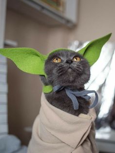 a cat dressed up as yoda in a towel