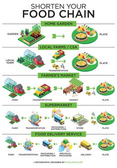 an info sheet describing the different types of food