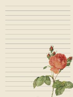 a drawing of a rose on lined paper