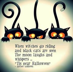 three black cats with glowing orange eyes and the caption reads, when witches ring and black cats are seen